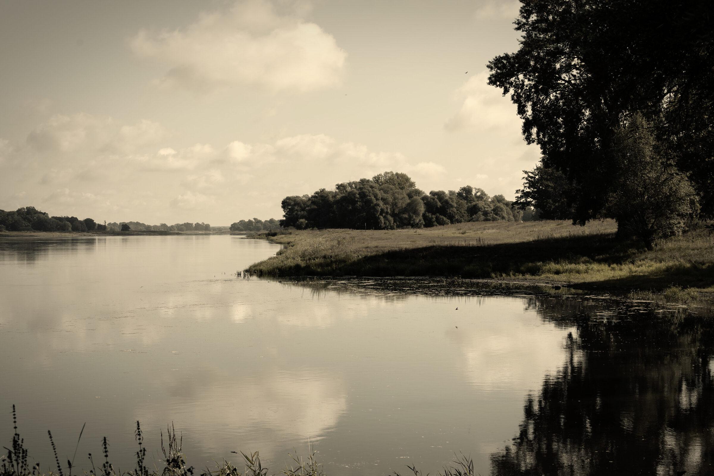 Die Elbe in der Elbtalaue
