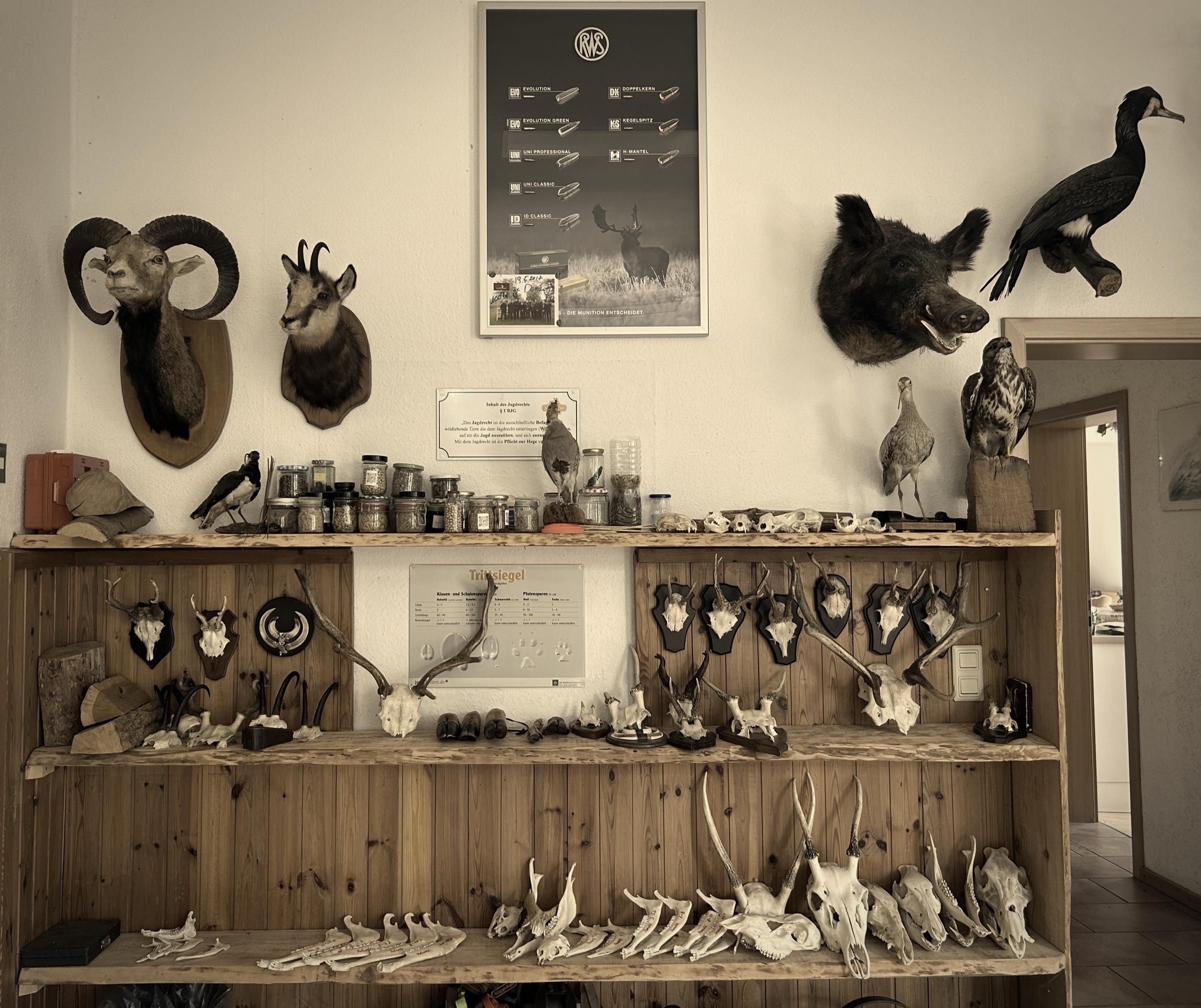 Die Lehrsammlung