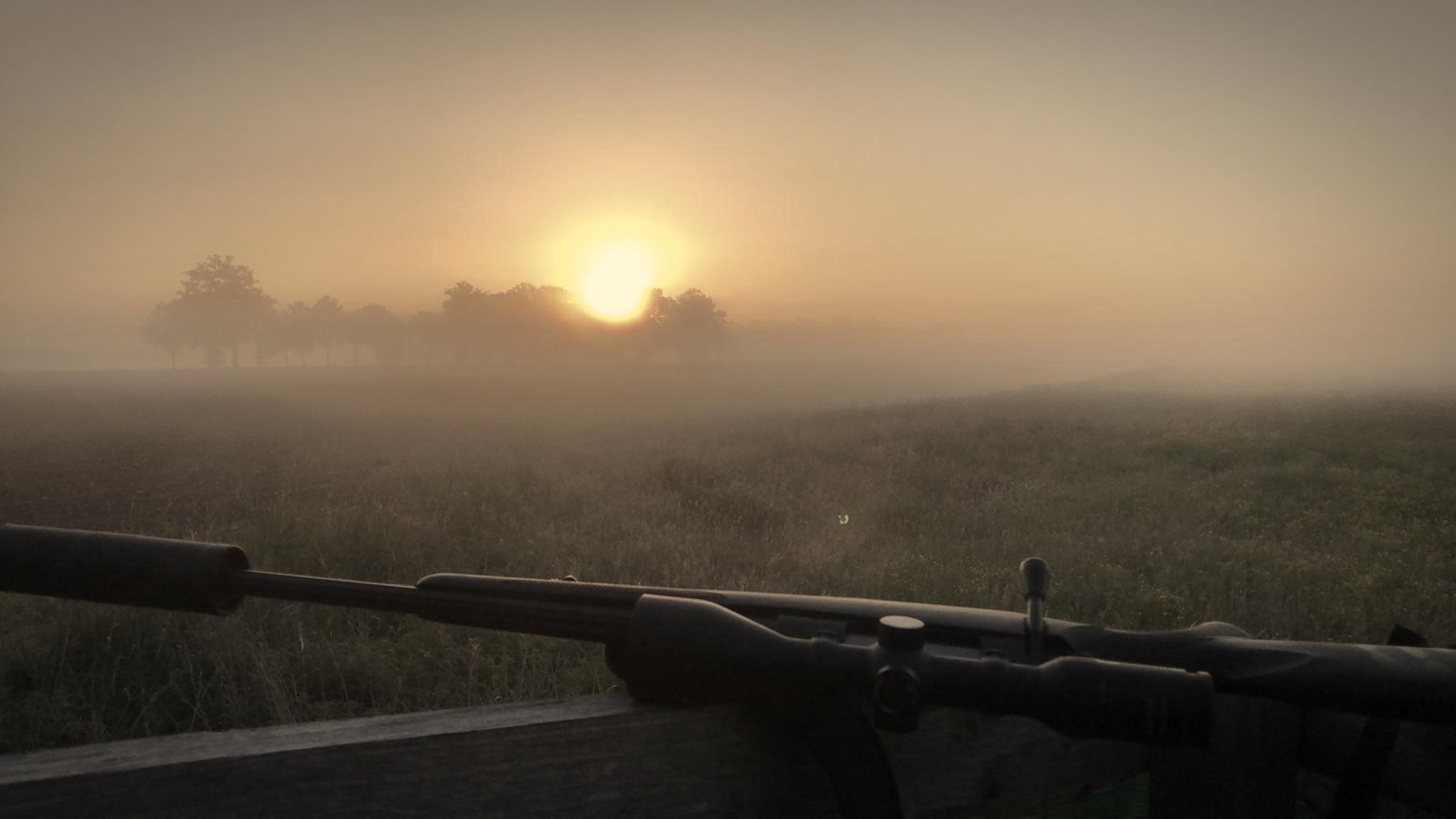 Sonnenaufgang im Revier